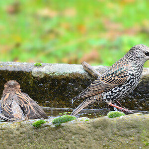 DSC 9439 khg
