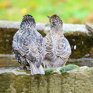 DSC 9451 khg