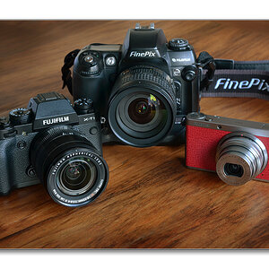 Fuji Family onl