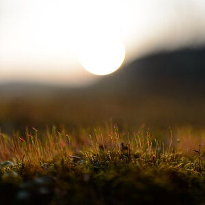 AF-S 35mm/1.4 G Blende 1,4