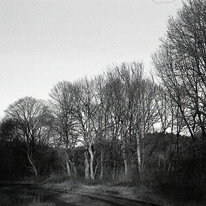 comp img003