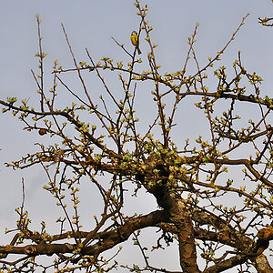 DSC 2740 khg