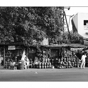 India 12 DXO 2