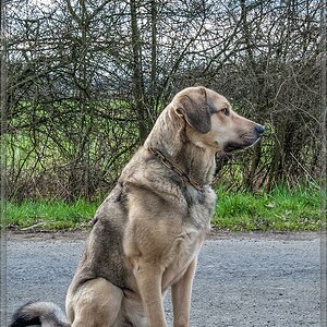 20100405 4050236 [E P2]   20 mm  1 45 Sek. bei ƒ   8,0 Bearbeitet