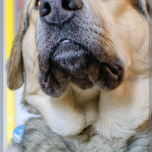 20090314 0731 [D40]   F3,5 35,00mm