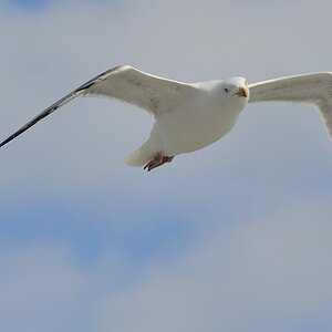 2014 03 17 15 35 02 D70 7538 copy 2