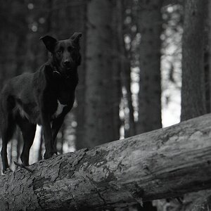 comp img008 bearbeitet