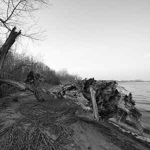 holz1