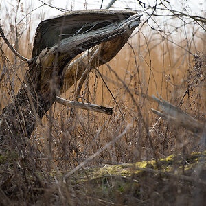 holz3
