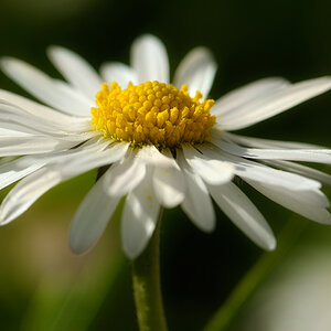 20140329 164105 Kopie