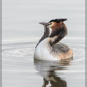 20140323 4403 [NIKON D4] 850 mm,1 640 Sek. bei ƒ   7,1