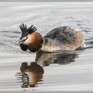 20140323 4412 [NIKON D4] 850 mm,1 640 Sek. bei ƒ   7,1