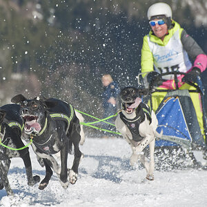 CB Inzell