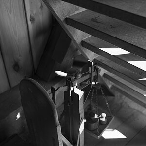 holz4