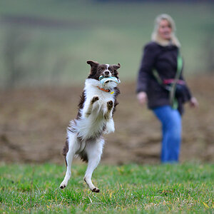 20140301 DSC 6241