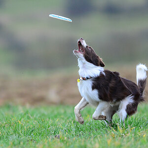 20140301 DSC 6267