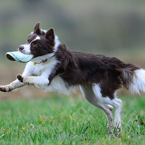 20140301 DSC 6268
