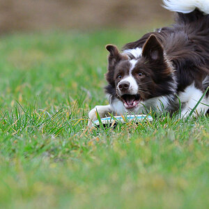 20140301 DSC 6306