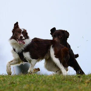 20140222 DSC 5998