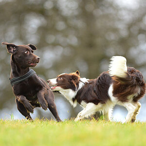 20140222 DSC 6117