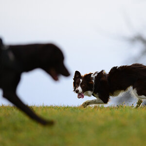 20140222 DSC 6141