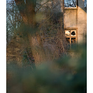 window2
