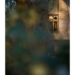 window