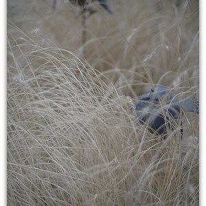 MNE 2134, 20140222
D800 Ai-S 35mm F1,4