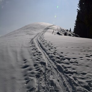 der Sonne entgegen