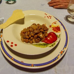 TZ SAM 2495