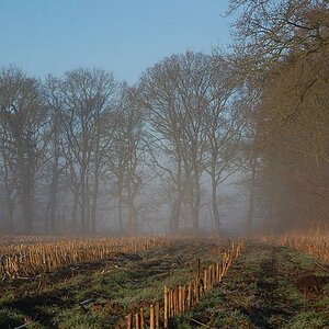 Morgenlicht 008