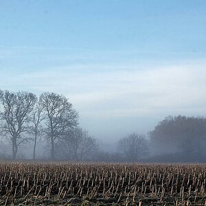 Morgenlicht 007