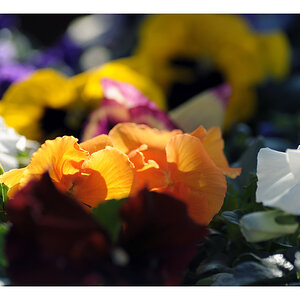 bunt1