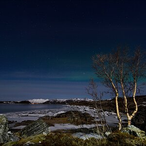 aacomp tromsö 20140212 3383a