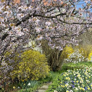 Frühlingsbeginn II