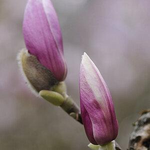 20140323 083401