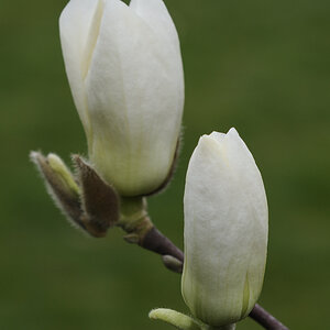 20140323 084639