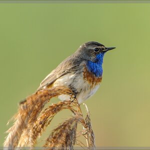 20140418 9665 [NIKON 1 V1] 850 mm,1 50 Sek. bei ƒ   7,1