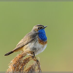 20140418 9681 [NIKON 1 V1] 850 mm,1 50 Sek. bei ƒ   7,1 2