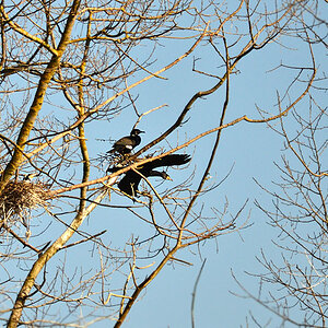 DSC 0893 khg