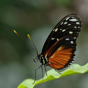 20140323 113743a