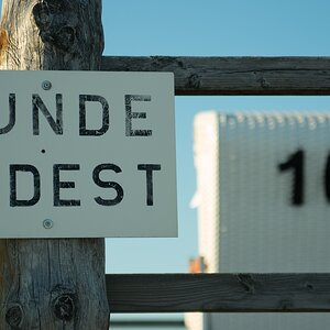 Hundepodest