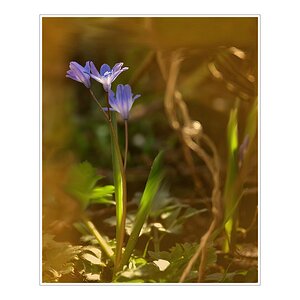 Compressed 0551