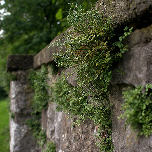 266naturkraft