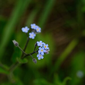 20130515 163143  © R.Wolf Lemgo