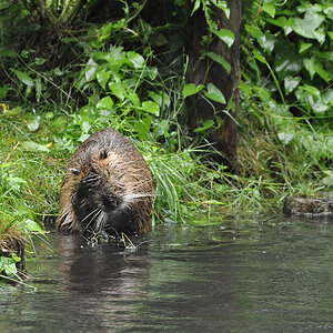 DSC 6330 khg