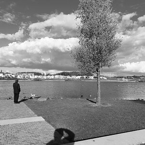 hund und ich