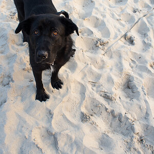 strand9