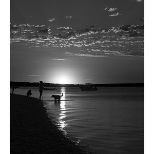 shark bay evening