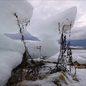 aacomp tromsö 20140210 1770